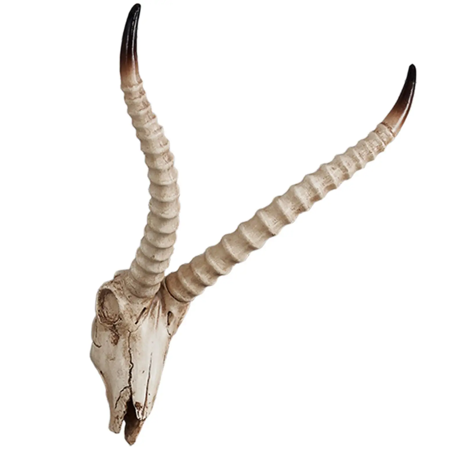 Skull Sheep Head Wall Sculpture Wall Sculpture Animal Sculpture Halloween Decoration 3D Long Horned RAM Decor Skull for Bedroom