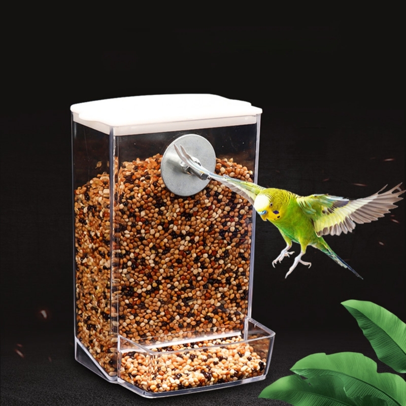 Title 9, Parrots Feeder Birds Plastic Food Bowl Clear Se...