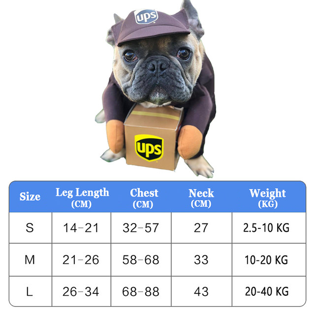 Pug in ups costume best sale