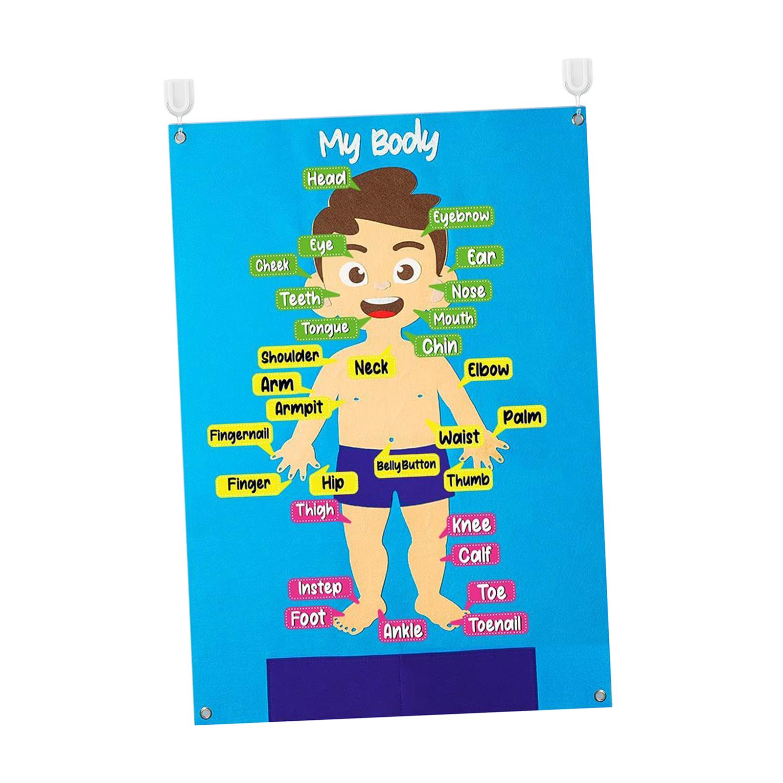 Learning Toy Felt Puzzle Busy Board Colorful Detachable Teaching Aids Body Parts Learning Felt Board Toddlers Preschool Infant