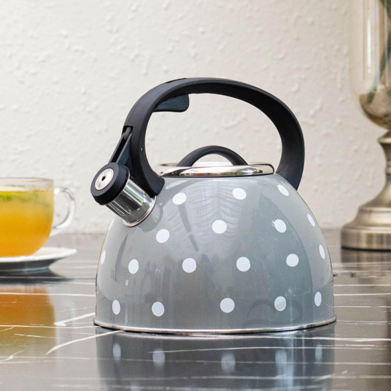 Kitchen Whistling Kettle Sounding Kettle for Boiling Coffee Gas Induction Cookers