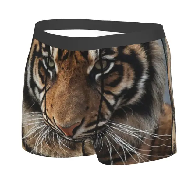 Colorful Tiger Underwear Abstract Animal Print 3D Pouch Hot Boxer