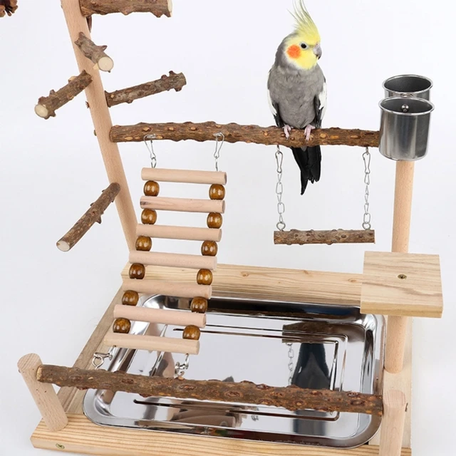 Acheter Support de perchoir pour oiseaux, jouet suspendu, perchoir