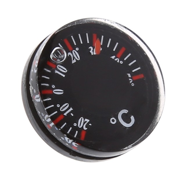 20mm Walking Stick Thermometer