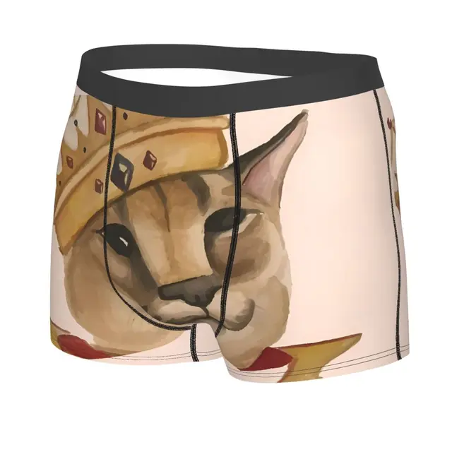Cube Man's Boxer Briefs Big Floppa Anime Highly Breathable