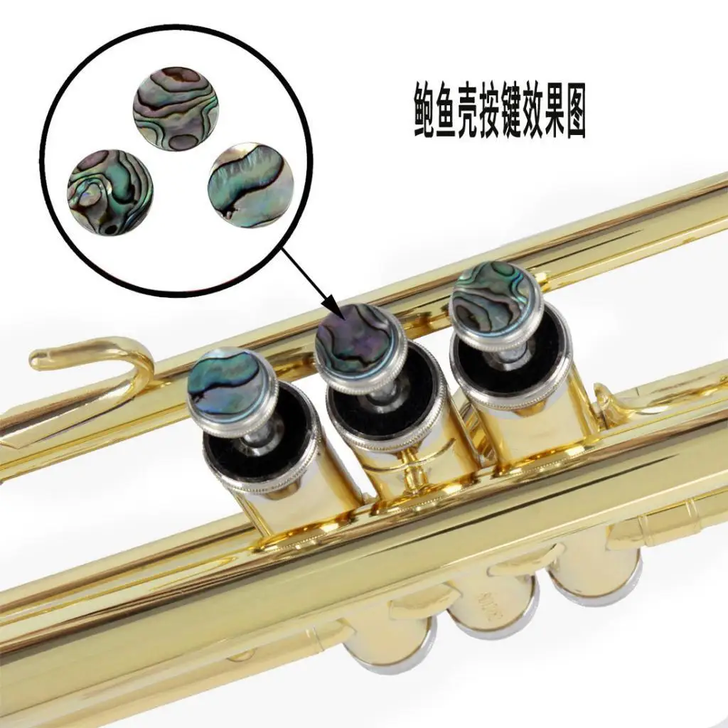 3 Pieces Exquisite Shell Finger Knobs Inlays for DIY Trumpet Repair