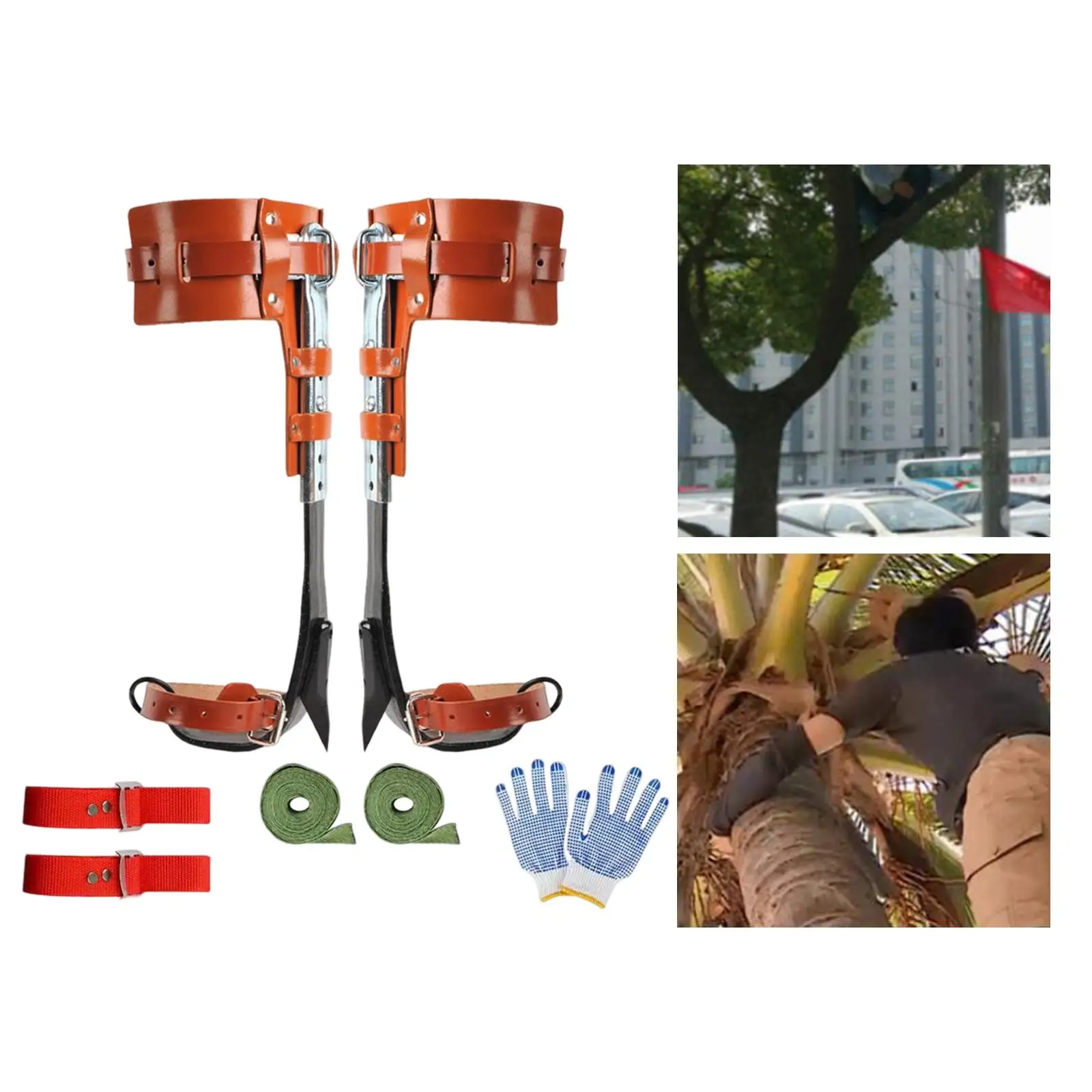 Pole Climbing Spikes Adjustable Non Slip for Camping Accessories Tree Work