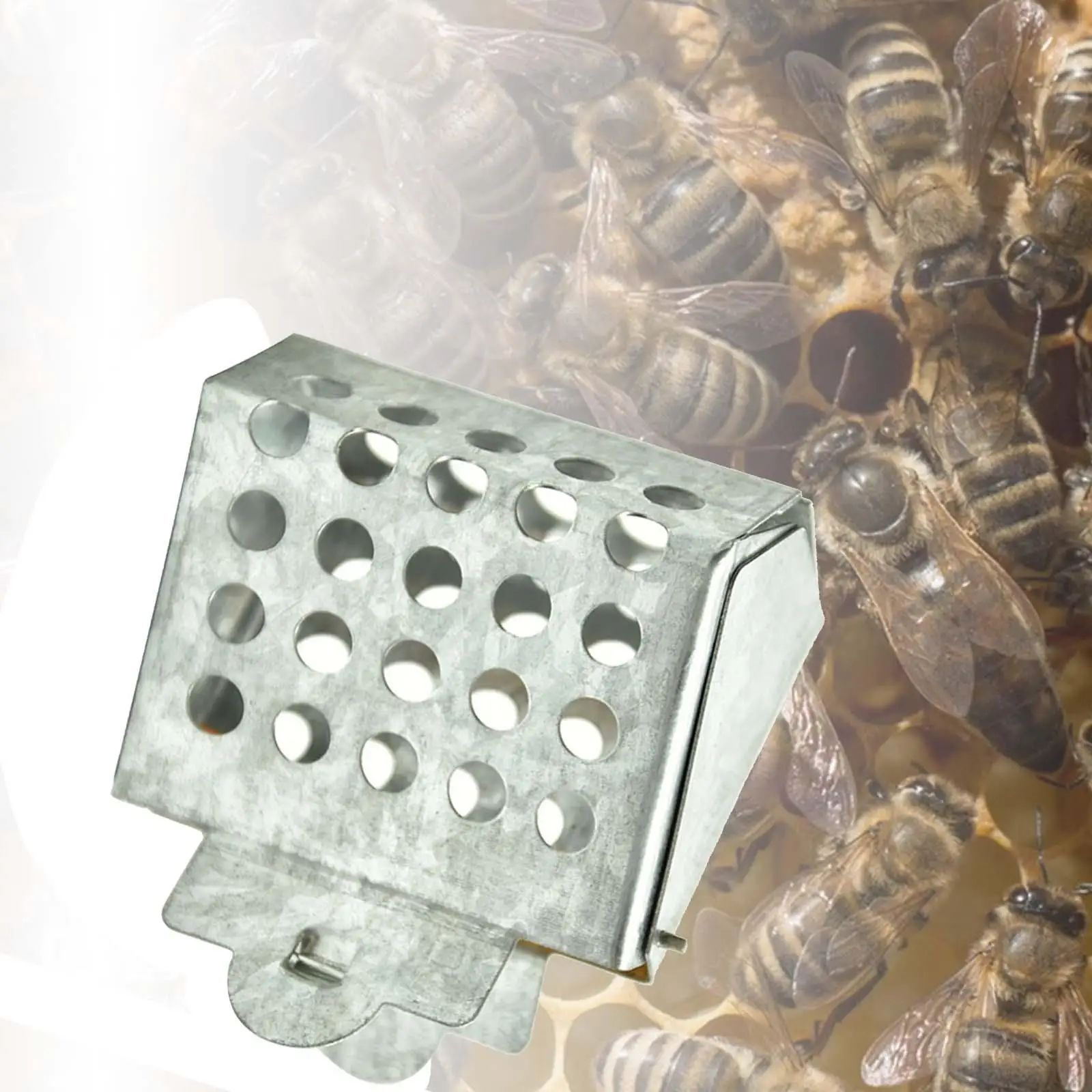 Queen Bee Catcher Cage Stainless Steel, Portable Room, Beekeeping Clip Queen