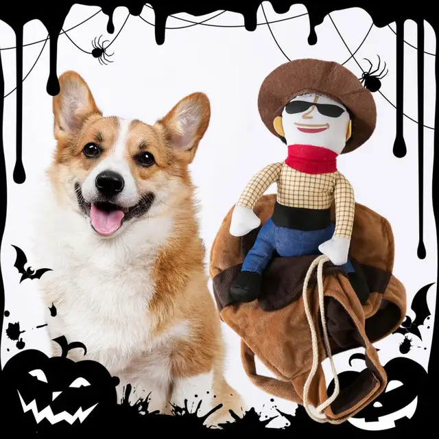 Costume Cosplay d'halloween pour chat, costume amusant pour chat, costume  de Cowboy pour guitare, mignon Kawaii, vêtements pour animaux de compagnie,  accessoires pour chiens - AliExpress