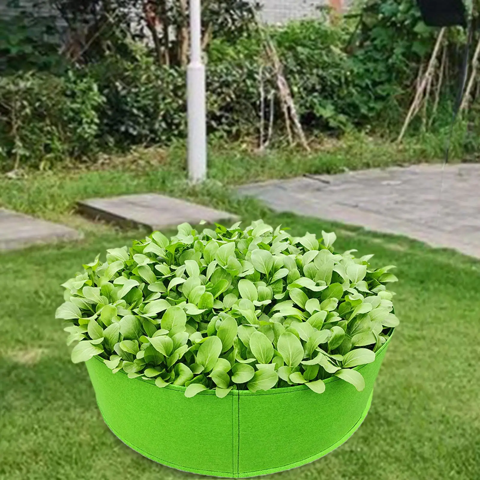 Thickened Garden Planting Beds Reusable Non Woven Plant planting pouch growing pot for Greenhouse Roofs Garden Indoor Back Porch