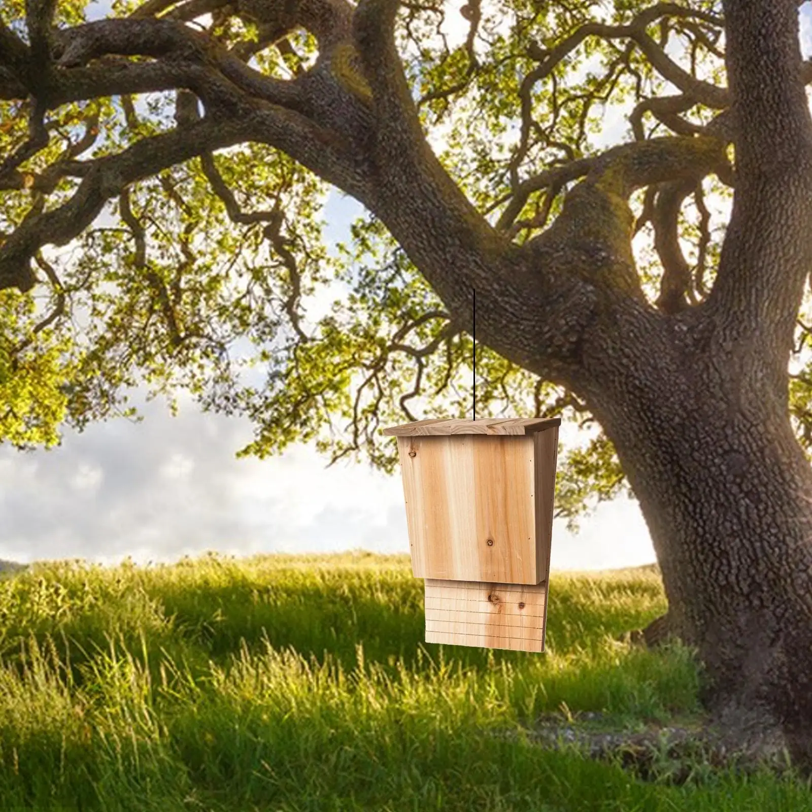 Bat House Big box Wooden Weather Resistant to Install professional Supplies Handcrafted shelter