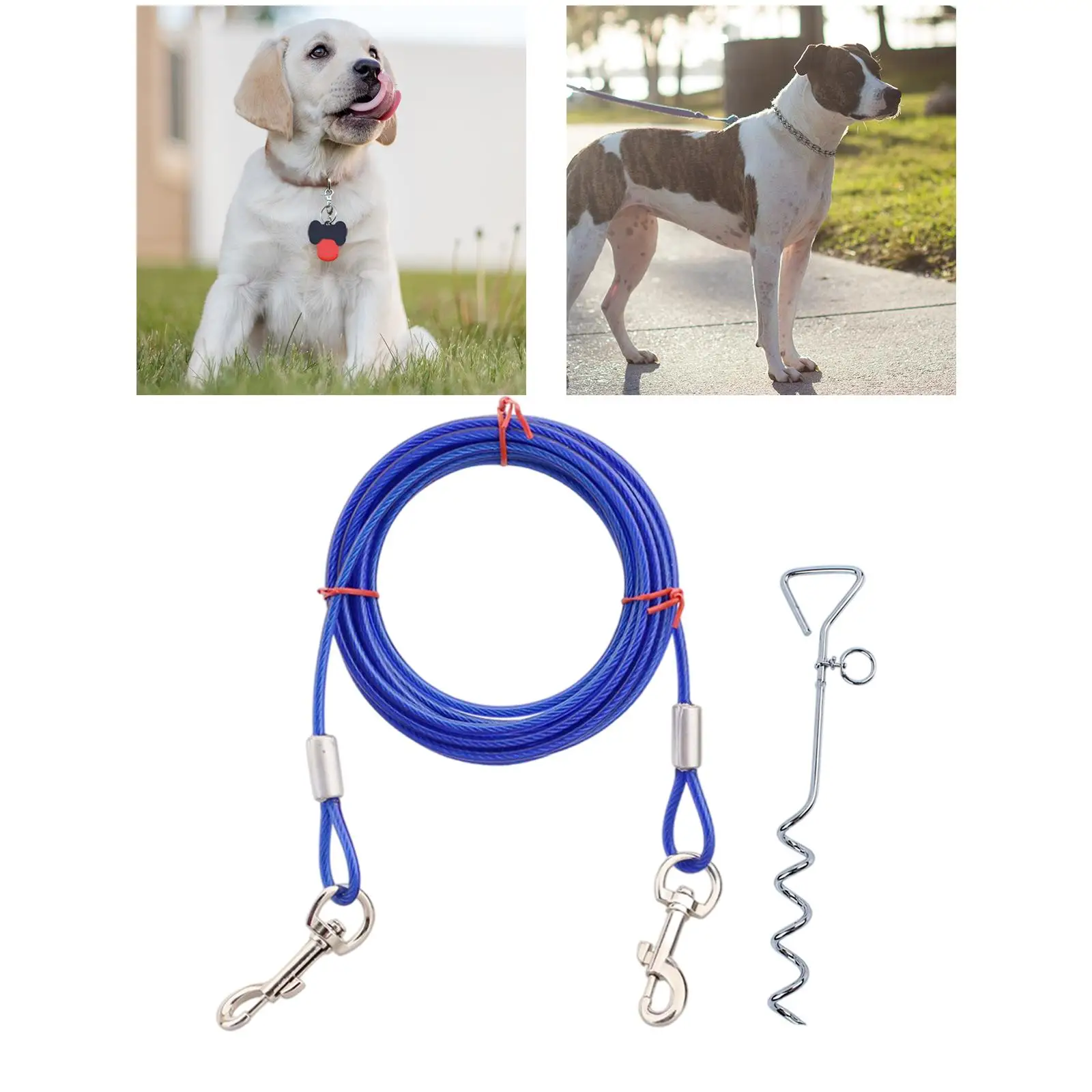 Dog Tie-Out and Stake Pets Anti Wrap Knotting Training Behavior Aids for Camping Yard Outside Beach