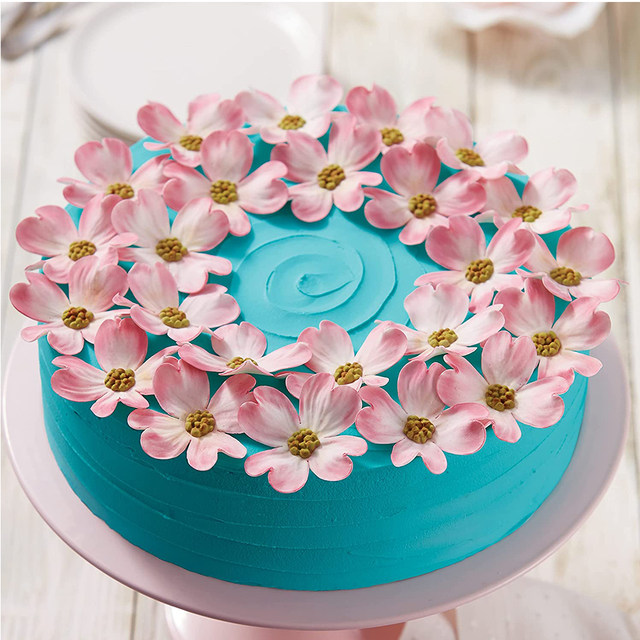 Tortiere Mini Rotonde Con Fondo Rimovibile | 4 Pezzi Ø10cm | Antiaderente, Per Cheesecake - Foto 7