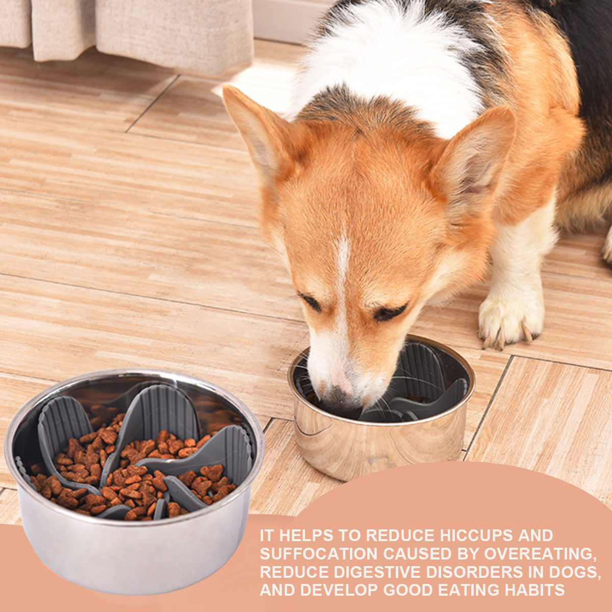 Slow Feeder Silicone Inserted In Dogs Bowl 