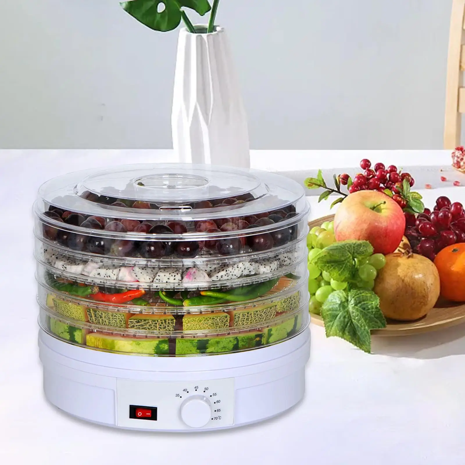 Fruit Dryer Stackable Portable Reusable Save Electricity Temperature Control Mute 5 Layers for Vegetable Kitchens Pet Food Meats