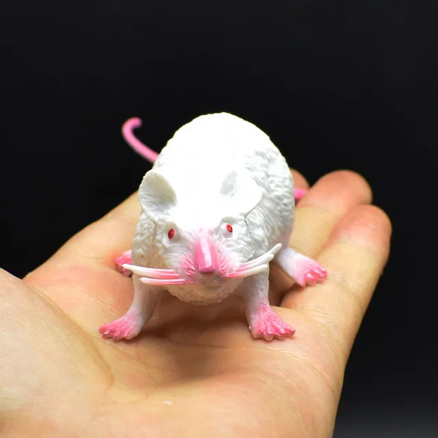 22cm nuovo realistico piccolo ratto finto topo modello Prop regalo di  Halloween giocattolo decorazione del partito scherzi pratici Novetly giocattoli  divertenti - AliExpress