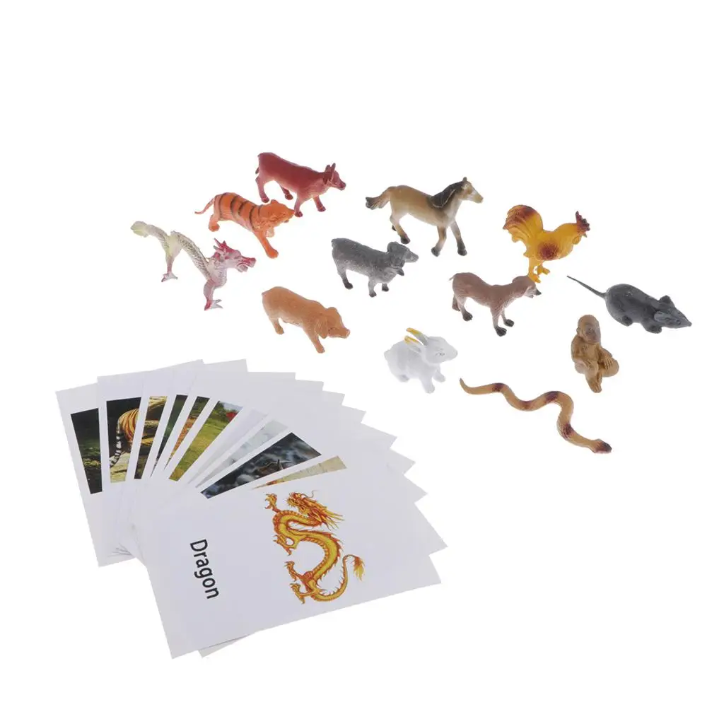 Chinese Zodiac Model Naming Card Templates for Montessori Education