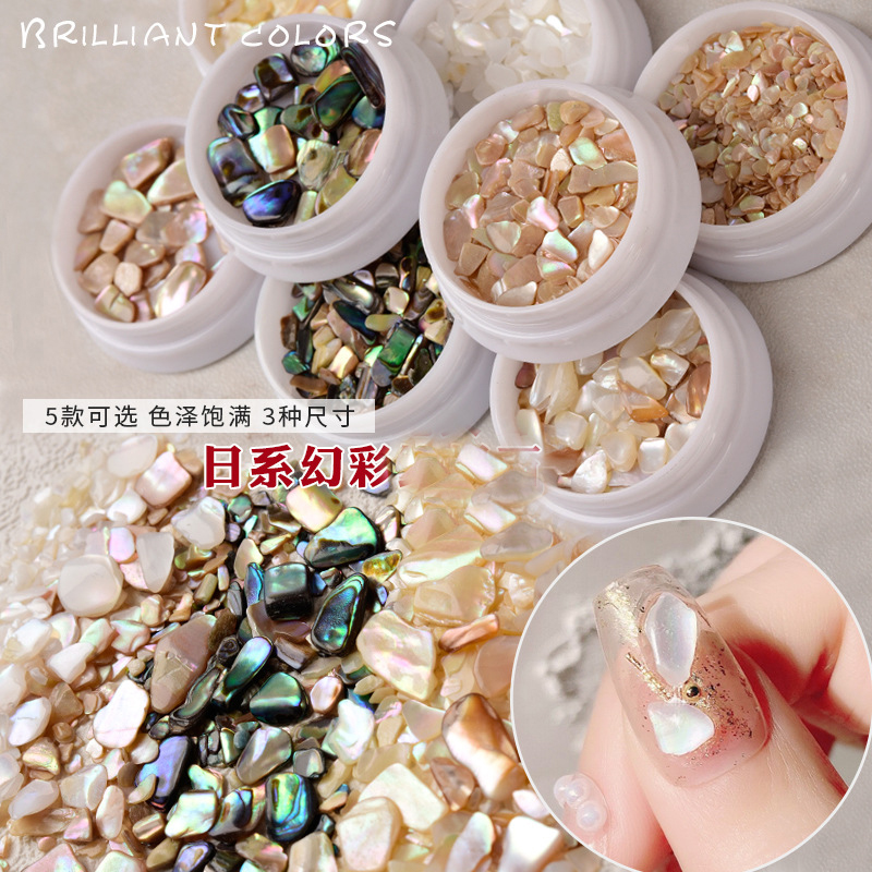 Best of Nail Jewelry Shell Crushed Stone Nail Shell Pieces Polished Symphony Abalone Light Therapy Nail Jewelry For Nail Tip Beauty Reviews & Tips