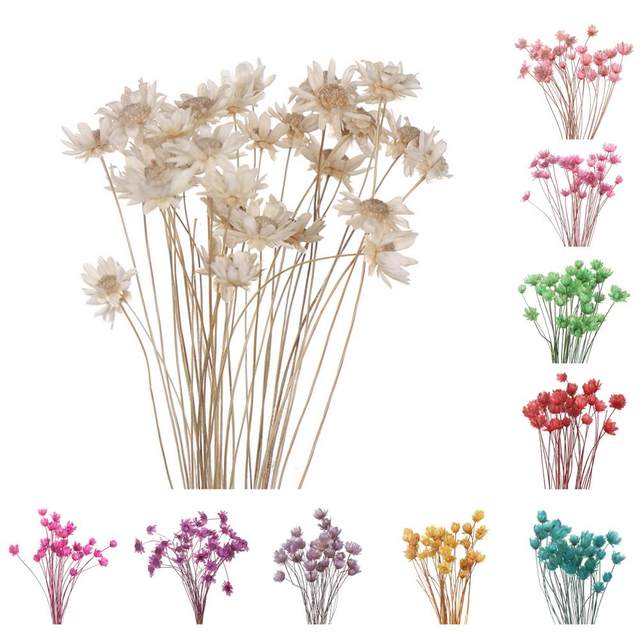 16 Fiori Secchi Pressati Per Resina E Fai Da Te - Set Naturale Per Decorazioni E Artigianato - Foto 7