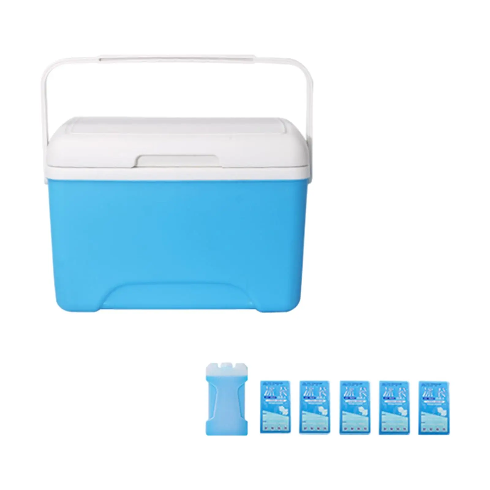 8L Insulated Portable Cooler Multipurpose Cool Box for Trips Outdoor Party