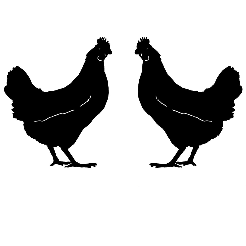 Auto Aufkleber Zwei Huhn Muster Persönlichkeit, Motorrad Aufkleber Produkte Dekoration Caravan Zubehör Abdeckung Kratzer Nette – Detail 1