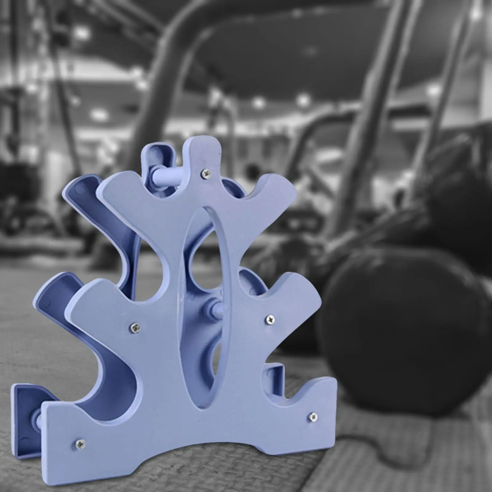 Dumbbell Storage Holder  Weight Lifting Holder for Gym Organizer 