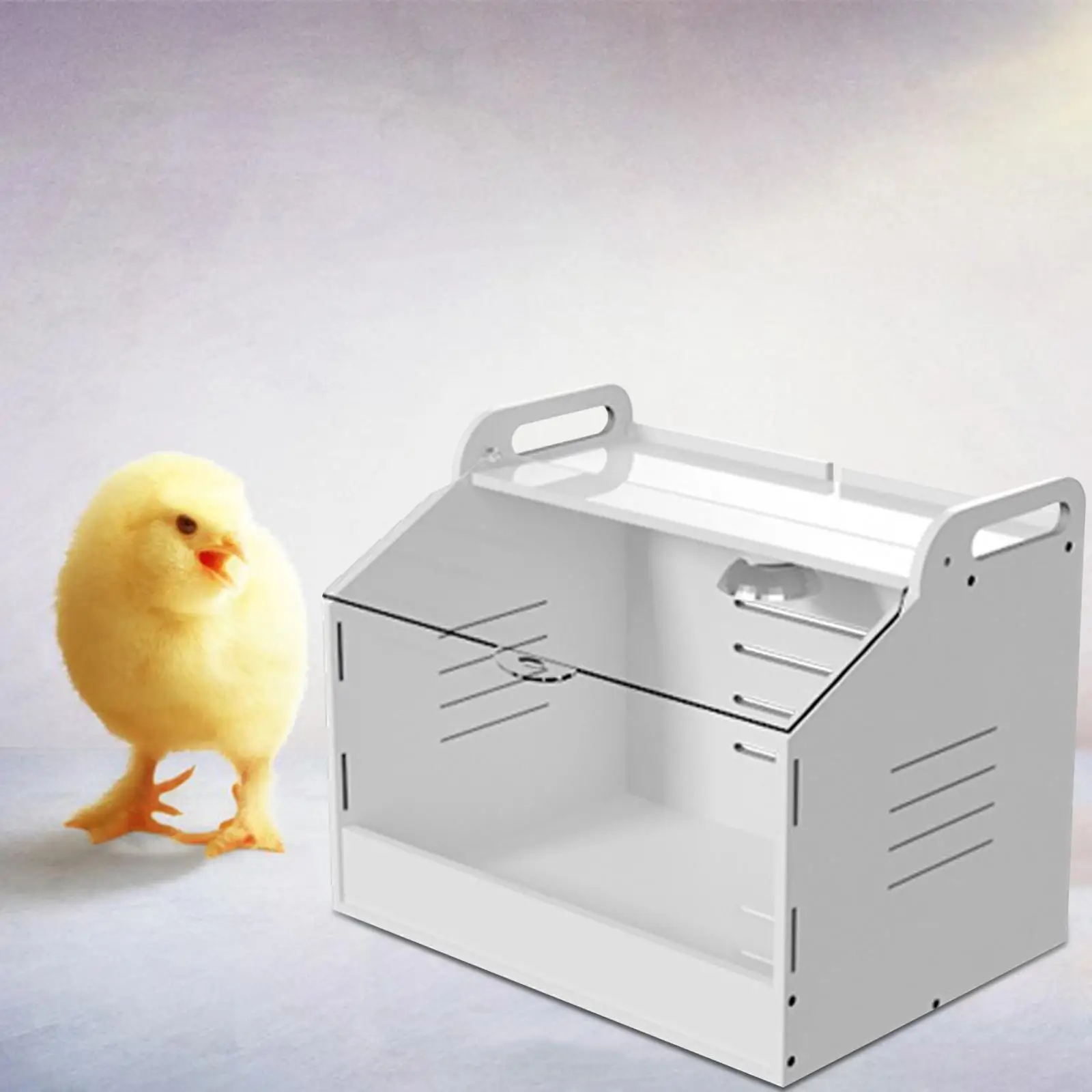 Egg Incubator Hatching High Temperature Clear Top Cover Incubation Box Automatic Poultry Hatcher Machine for Brooding Turkey