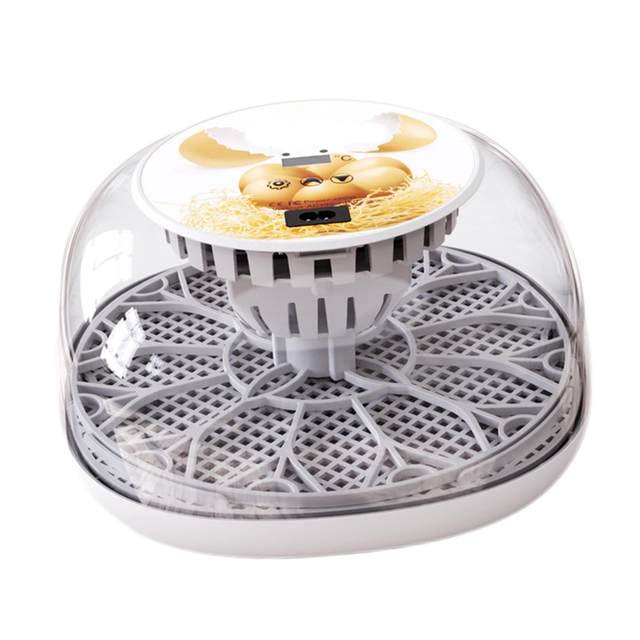 12 Eggs Incubator Egg Turner Tray Transparent Cover Children Experimental Hatching Eggs Hatcher Machine for Farm Quail Chicken