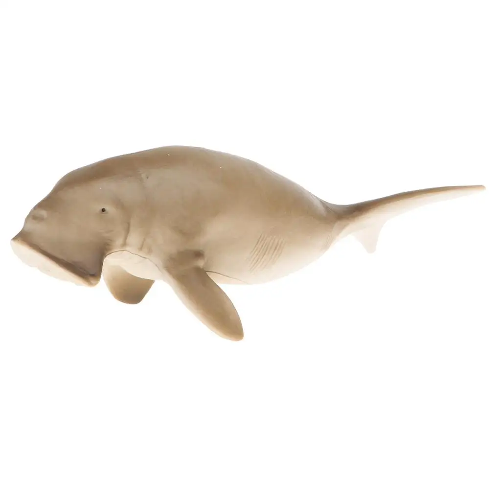 Realistic 5.6 `` Manatee Action Figure, Plastic Ocean Dugong  Model