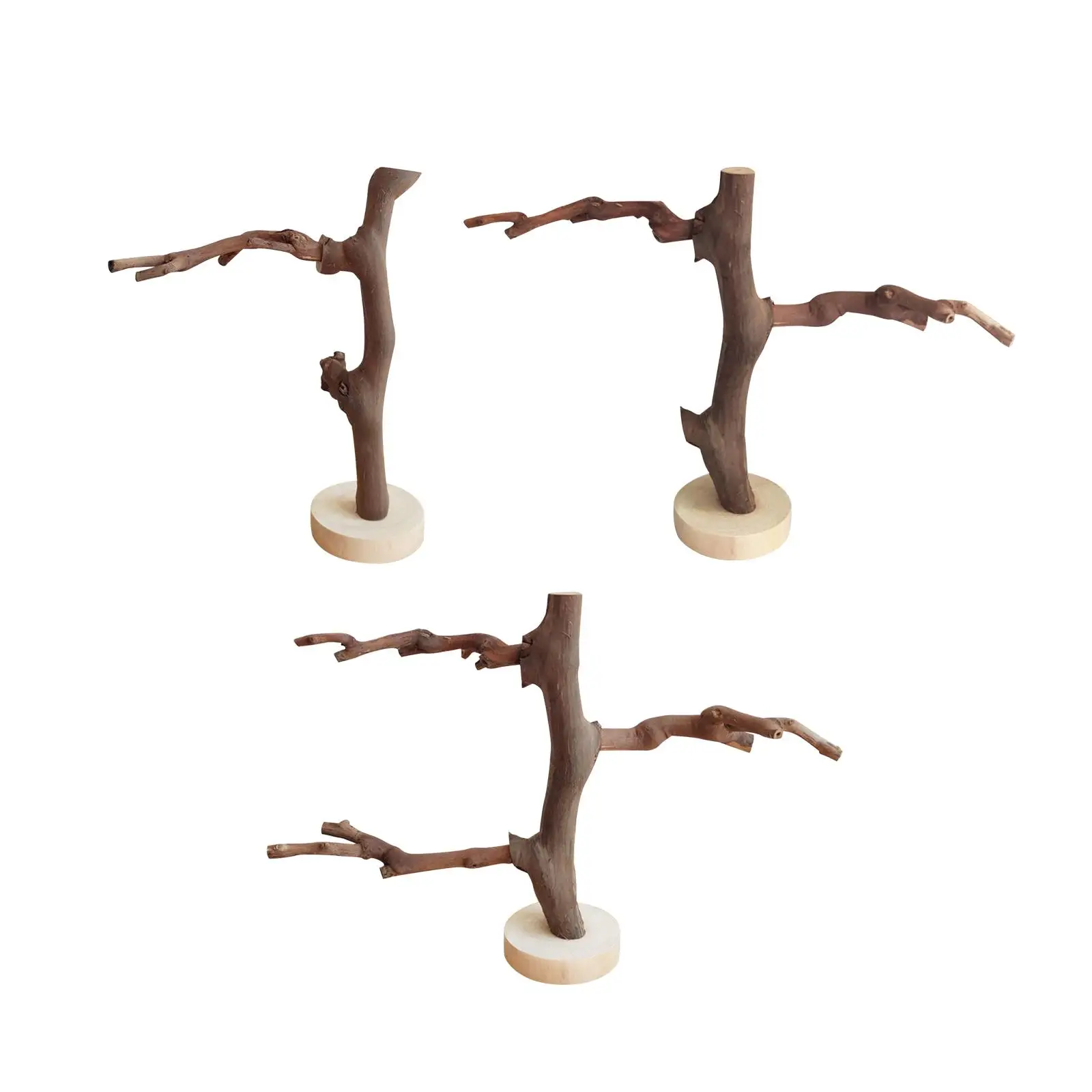 Parrot Stand Parrot Perches Tree Branches for Bird Parakeets Chew Toys