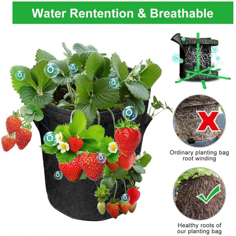 (Spring Hot Sale-save 50% Off) Strawberry Planting Bag