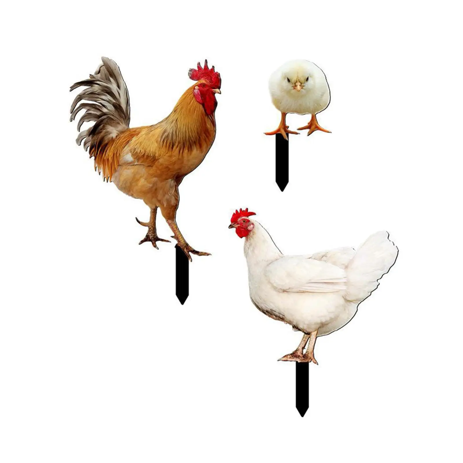 Acrylic Roosters Signs Animal Statue Stakes Lifelike Decorative Art Decoration Set of 3 for Patio Courtyard Farm Lawn Outside