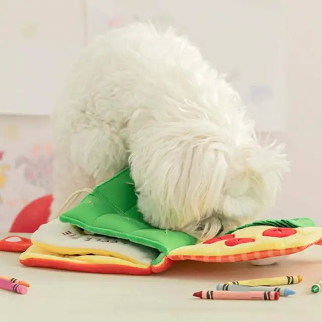 Hide And Seek Plush Dog Toys Squeak Interactive Burrow Puzzle Chew Treat  Hiding Brain Stimulation for Small Medium Dogs Dropship - AliExpress