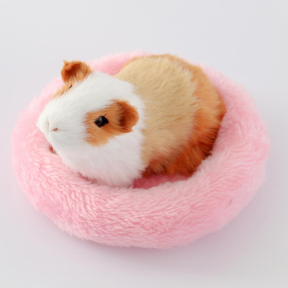 Title 14, Cama de hamster em formato redondo, cama de dor...