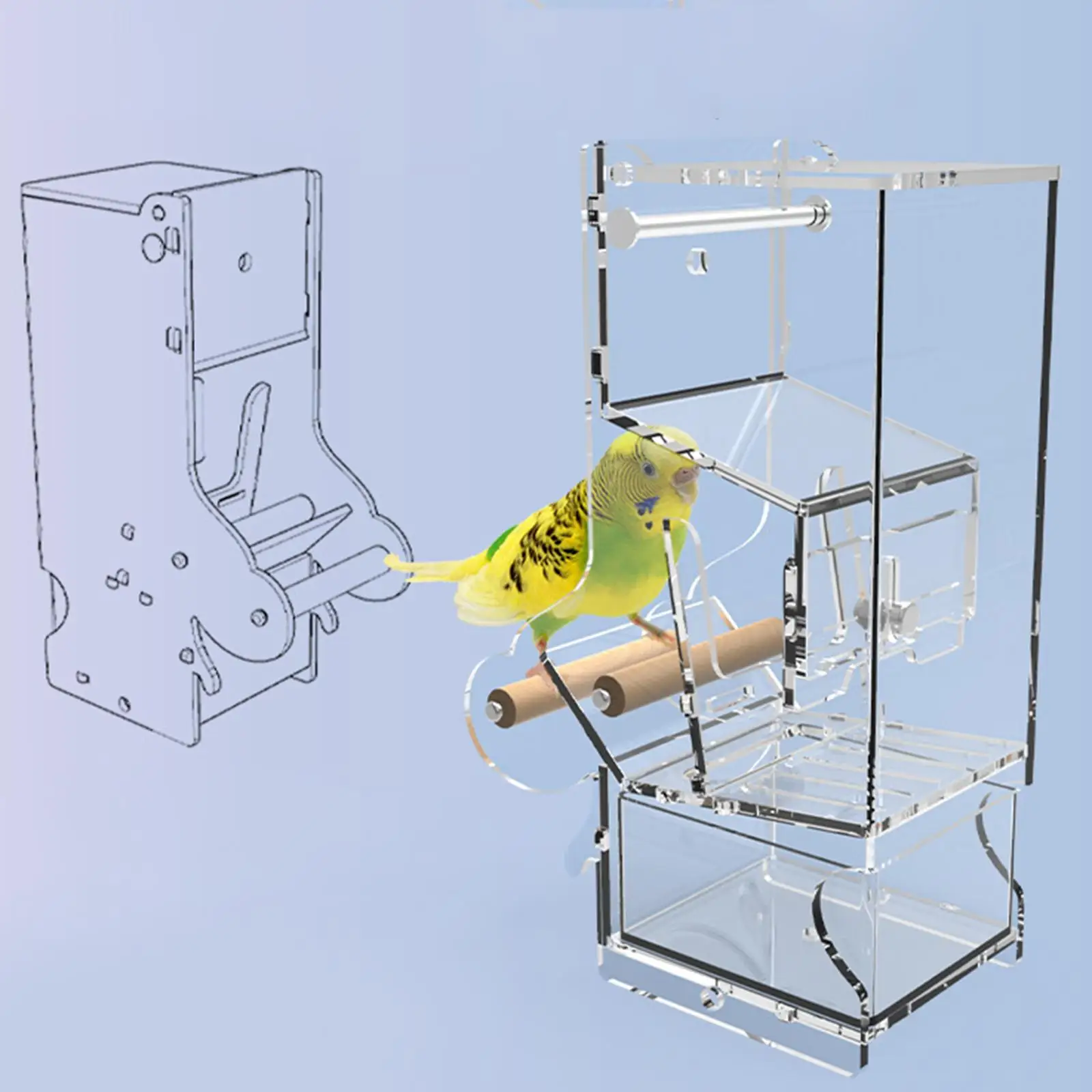 Bird Feeder Cage Hanging Transparent with Perch for Cockatoo Conure Canaries