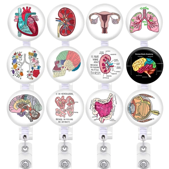 Medical Human Organs Brain Heart Lungs Uterus Nurse Badge Reels Felt  Retractable Hospital Accessories ID Badge