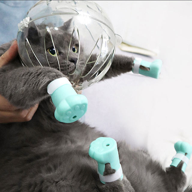 Cat Muzzle Boots Set Anti Bite Breathable Space Hood Cats Helmet with Paw Cover Portable Astronaut Helmet for Grooming AliExpress