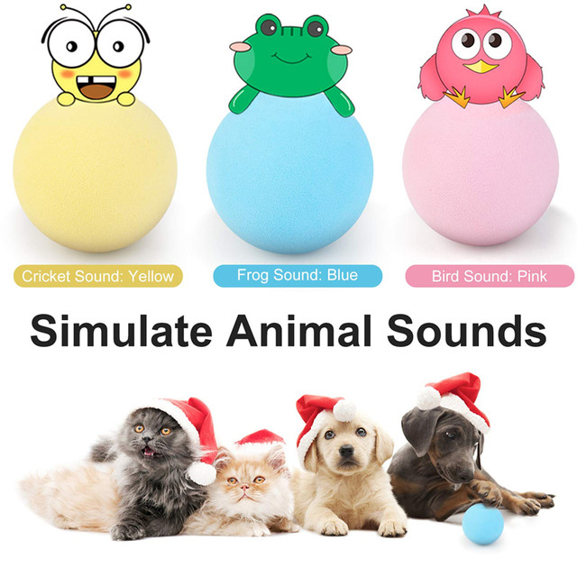 malha para gatos - Divertido Jogo em Forma S para Interação Gatos Internos  com Brinquedos Provocantes,Suprimentos para animais estimação tubos  bigotorcidos : : Pet Shop