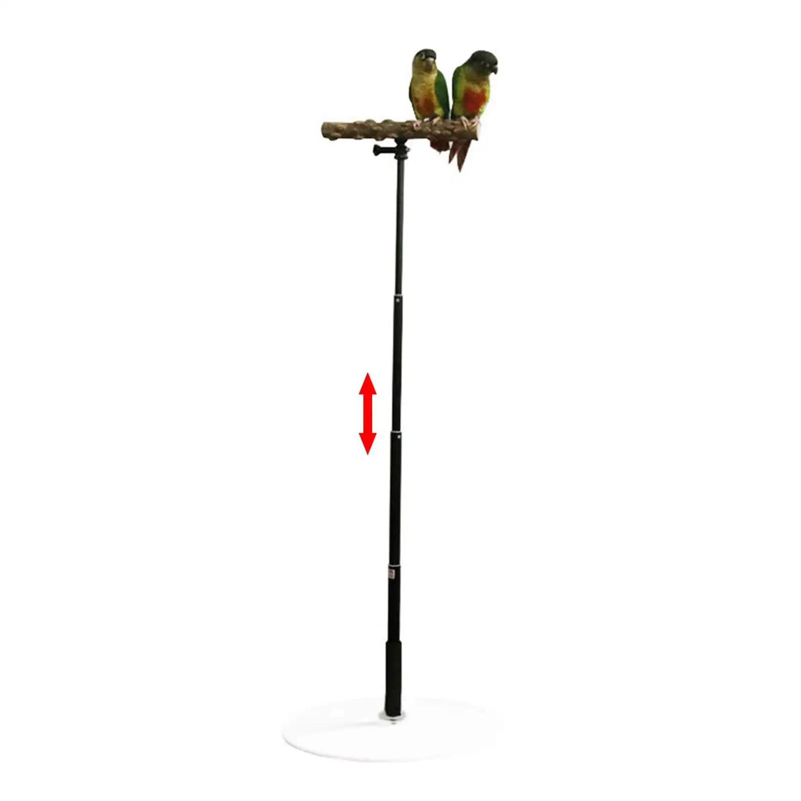 Bird Perch Parrot Training Tee Play Stands Playstand T Stand Conures Cockatiel Parakeets Bird Cage Accessories