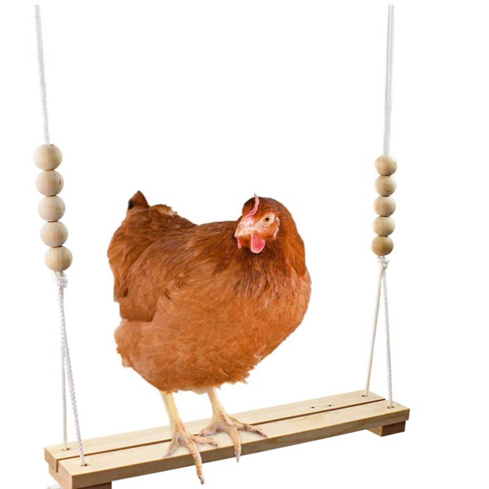 Chicken Swing Chicken Coop Toys Exercise for Small Parakeet Finches