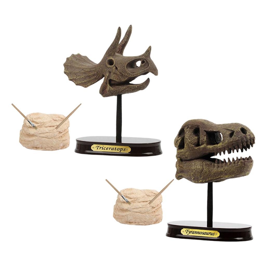 Dinosaur Skull Excavation Toy Tabletop Decor for Collection Decorations Boys Girls