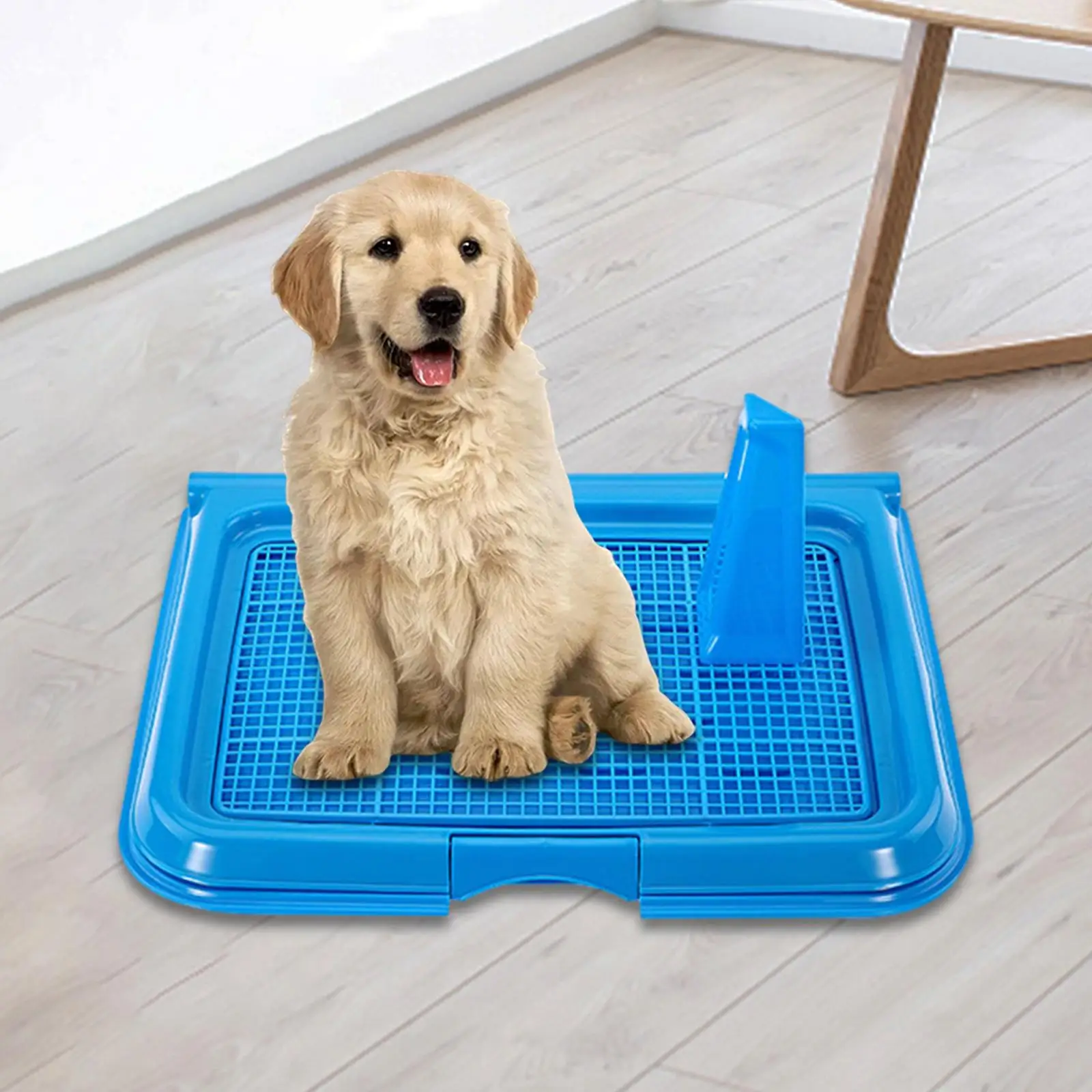 Dogs Toilet Training Potty Tray Pee Pad Holder Bedpan Rabbit Dog Potty Tray