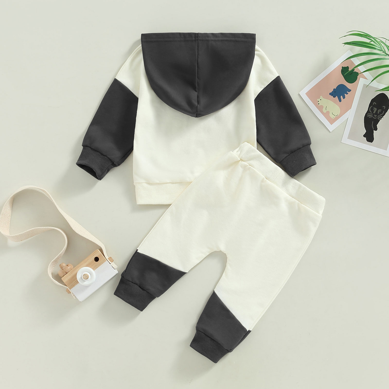 FOCUSNORM 0-3Y Herbst Kausalen Baby Jungen 2 stücke Kleidung Sets Farbe Patchwork Langarm Pullover Mit Kapuze Tops Elastische Hosen – Detail 14