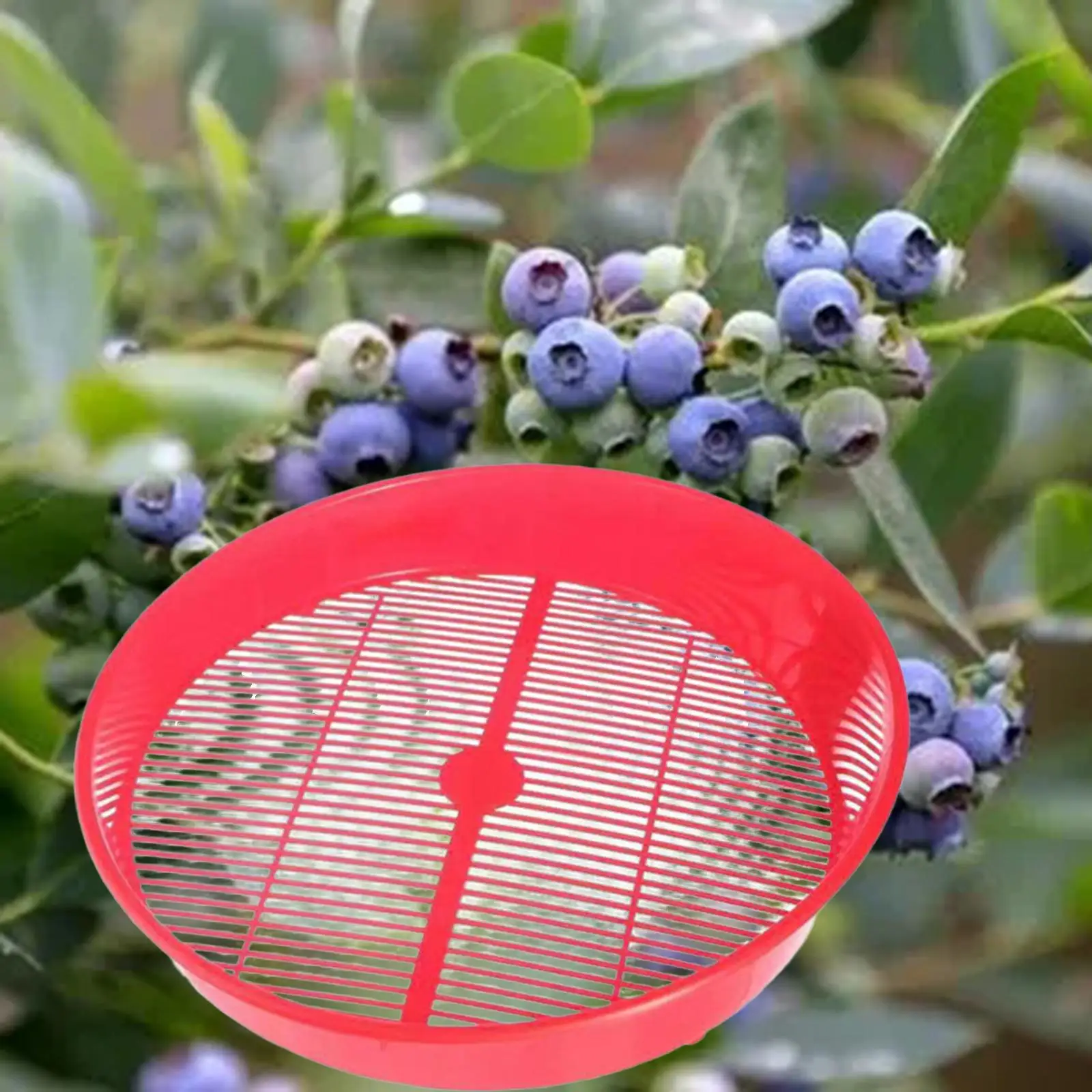 Berries Cleaning Basket Colander Bowl Strainer Lightweight Fruit Vegetable