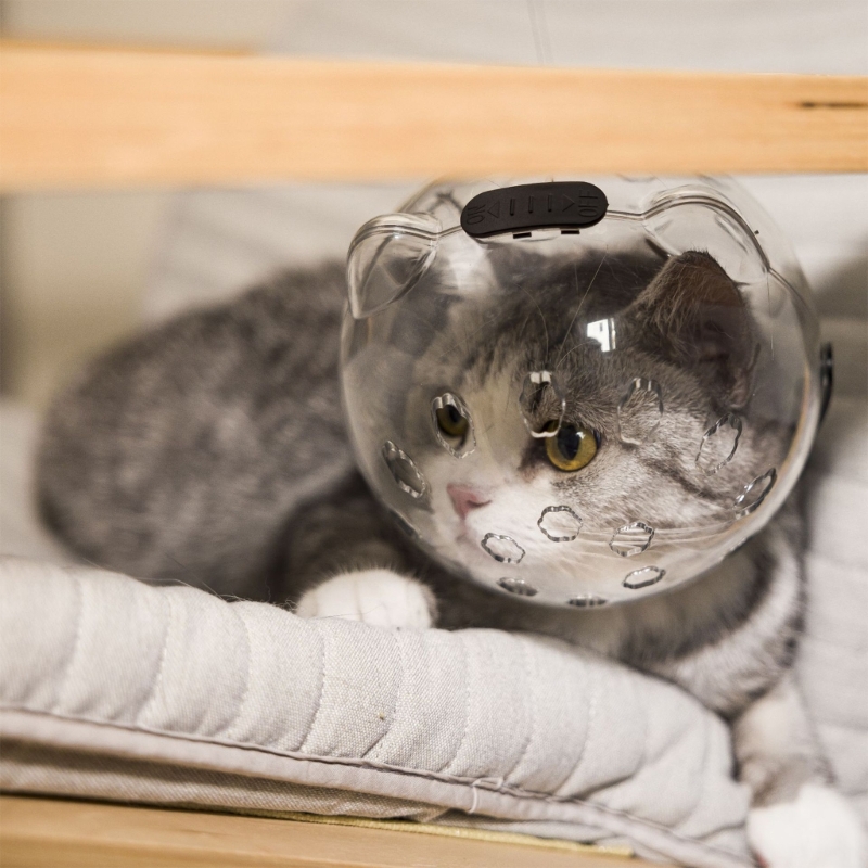 Focinhos respiráveis capacete astronauta para aliciamento impedir gatos de morder