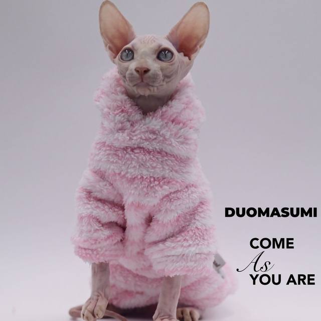 猫服スフィンクス猫冬ペット子猫コートジャケット小中犬猫暖かい