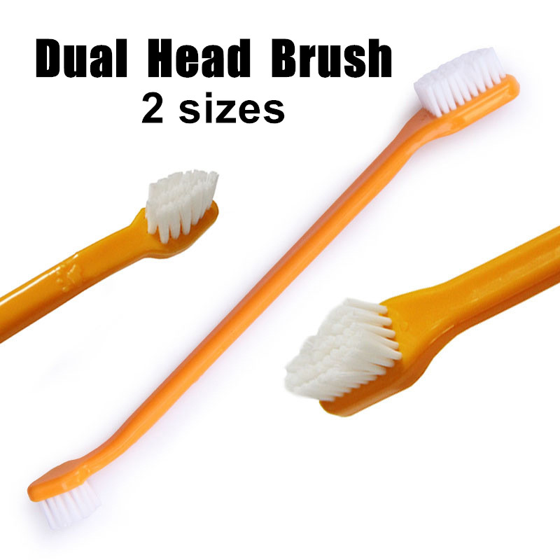 Title 5, Ensemble de brosse à dents et dentifrice 4 en 1...