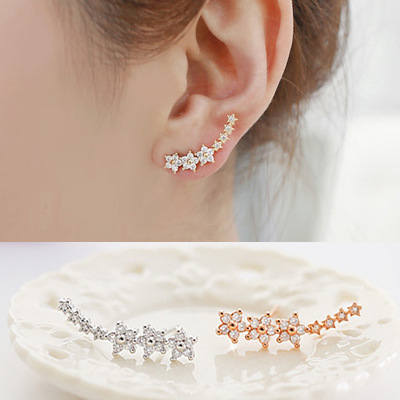 REETI Neue hochwertige super glänzende Stern Zirkon 925 Sterling Silber Ohrring für Frauen Schmuck Großhandel Geschenk – Detail 1