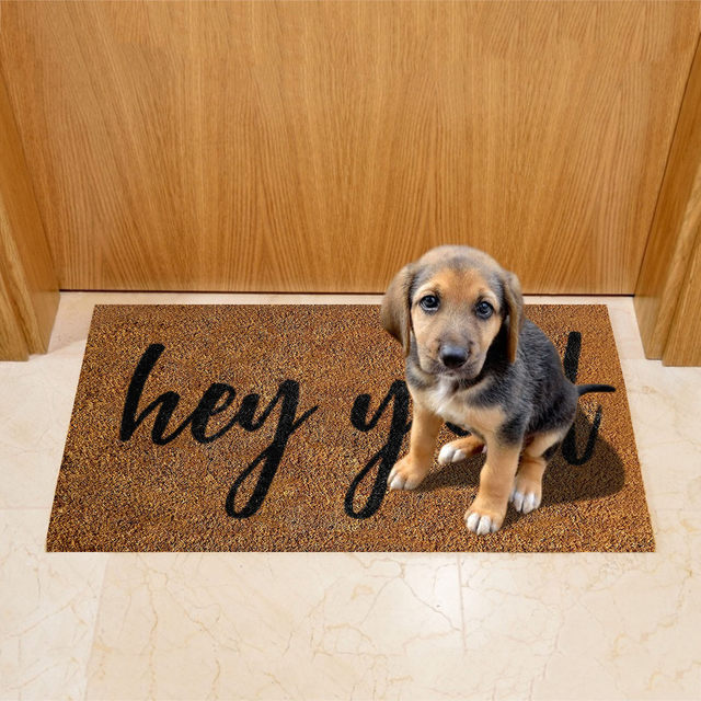 Welcome Mats For Entrance Door Mat Funny Door Mats Outside Entrance Doormat  Rug Kitchen Carpet Decorative Colorful Home Decor - Mat - AliExpress