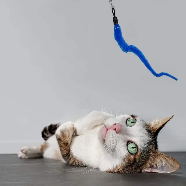 GingerUPer Cat Toy,Cat Feather Toys,Retractable Algeria